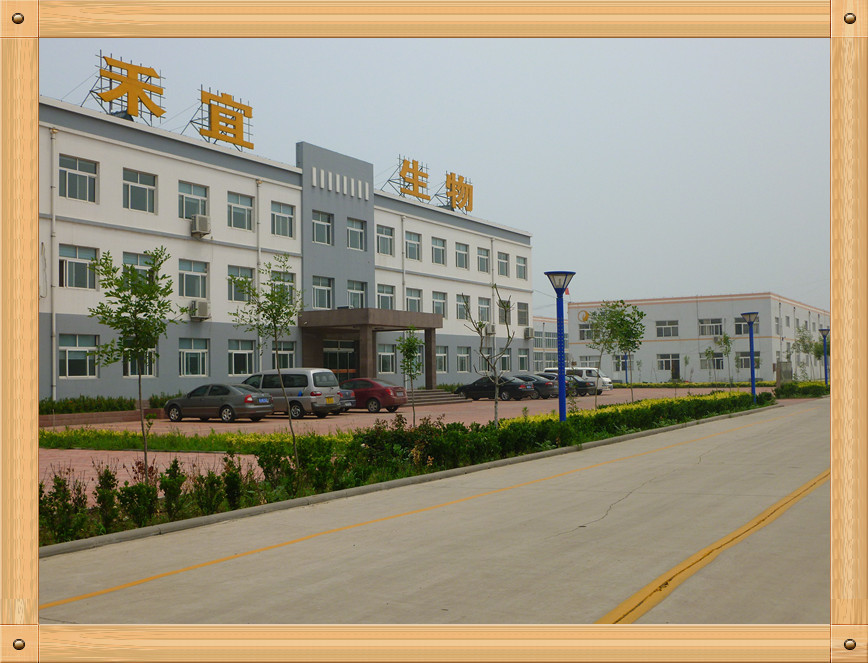 Китай Weifang Heyi Agrochemical Co.,Ltd